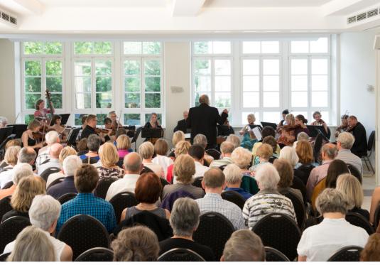 das Kammerorchester Schlösschen Limburgerhof 2014